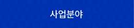 사업분야